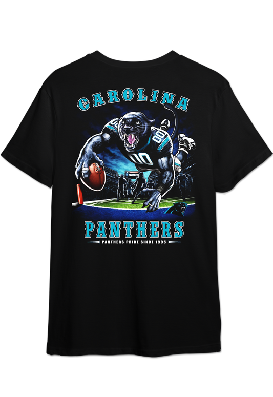 Carolina Panthers Football