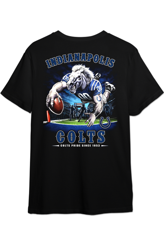 Indiananpolis Colts NFL T-Shirt